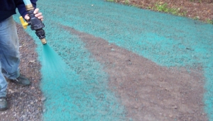 Hydroseeding Christchurch and Rolleston and Canterbury