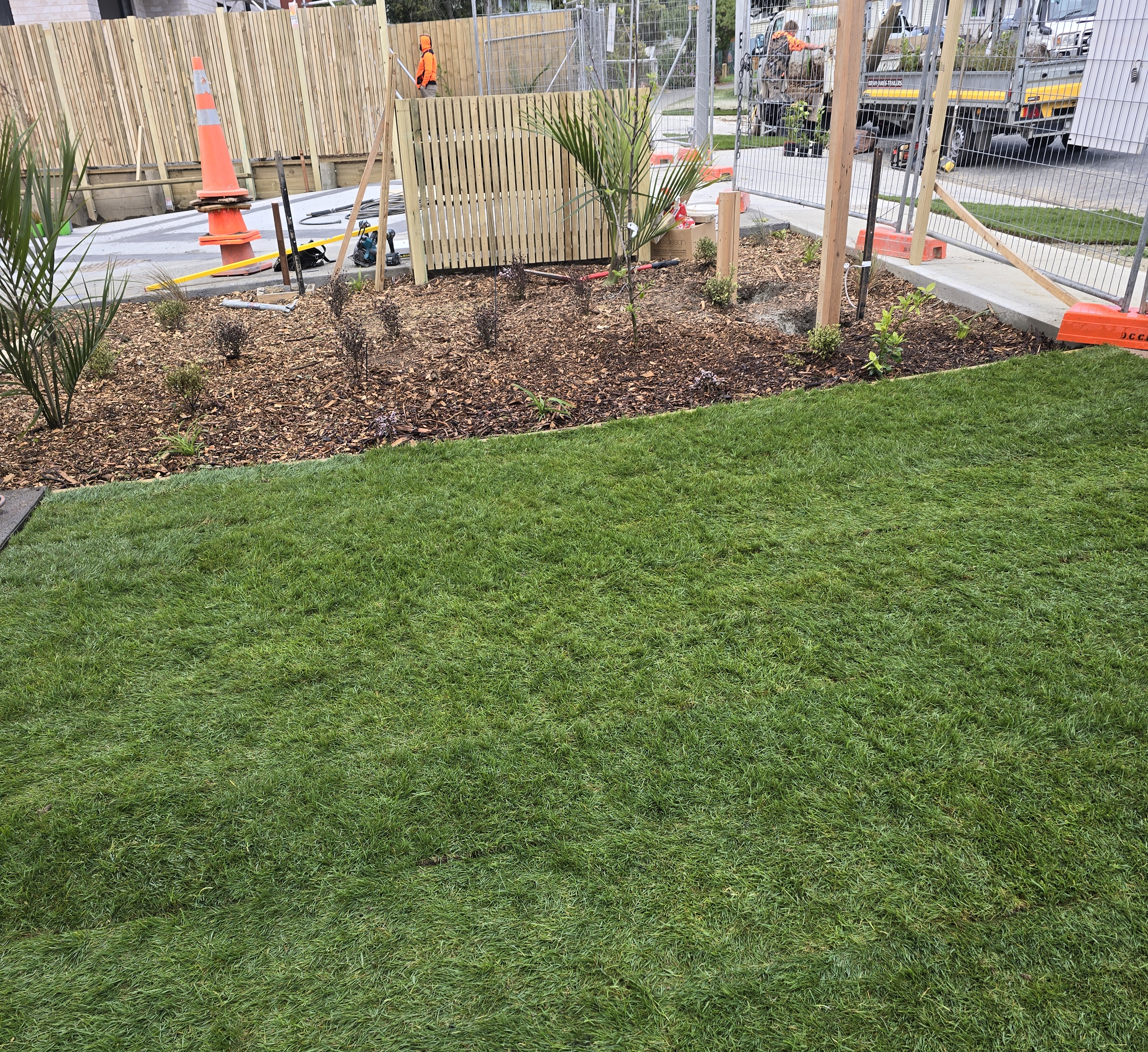 Rollout Turf company Wellington region. Contact Wellington Lawn Specialists.