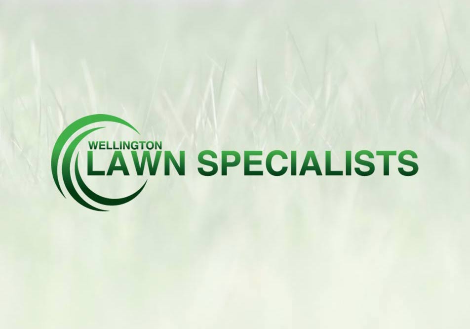 Wellington Lawn Specialists for all Site preparation, hydroseeding, rollout turf, astro turf, and erosion control, throughout the Wellington region.